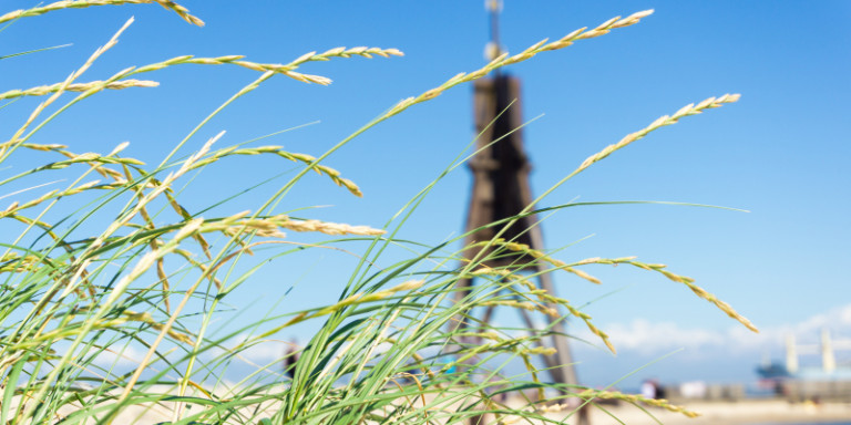 AdobeStock 283933486